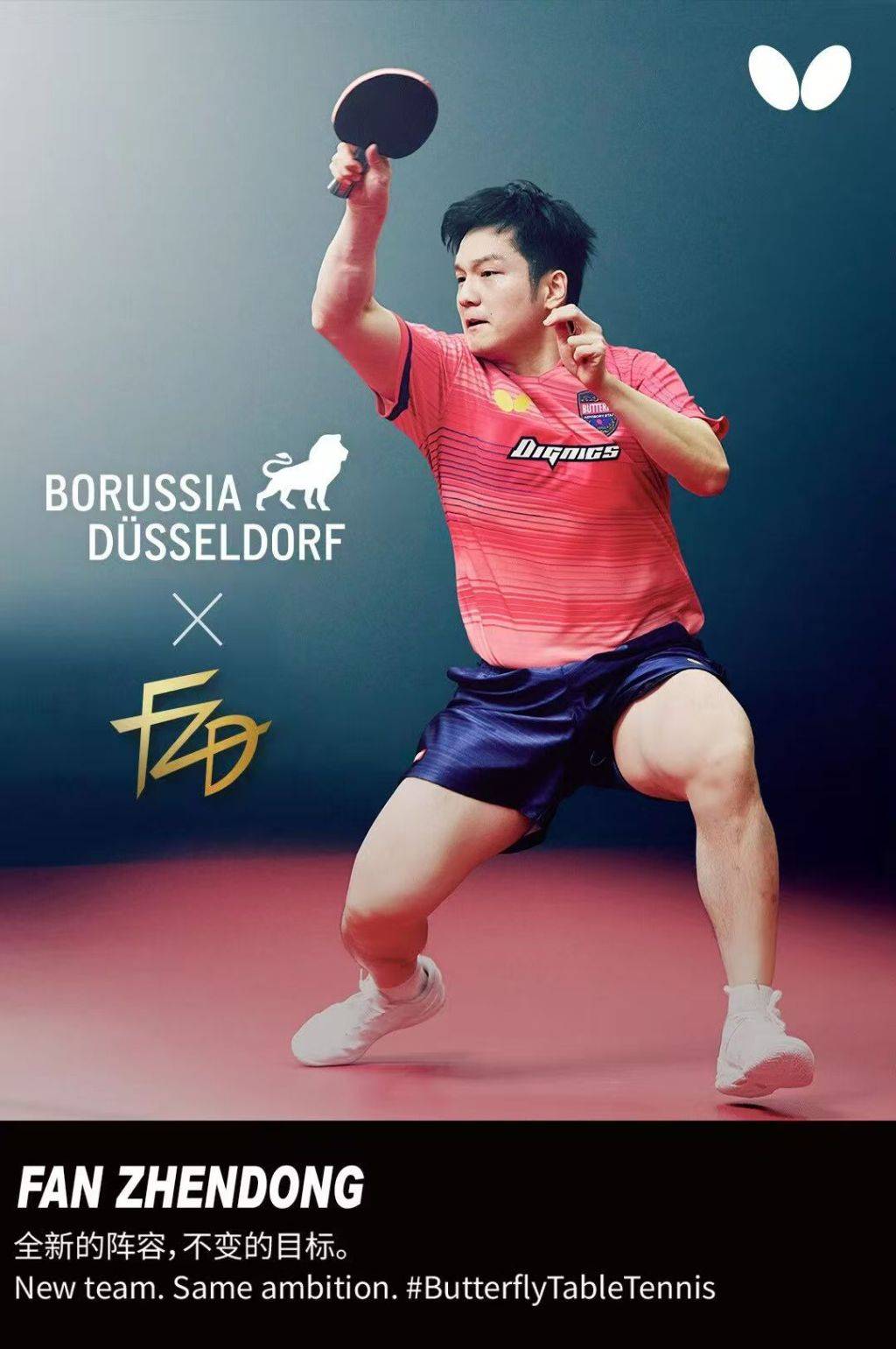 樊振东加盟德甲杜塞尔多夫俱乐部 樊振东加盟德甲杜塞尔多夫俱乐部